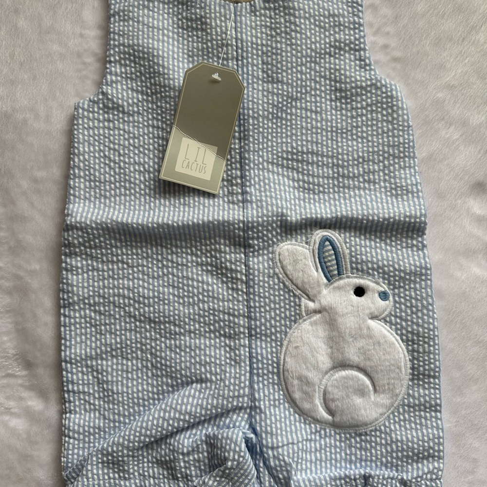 Lil Cactus Seersucker Bunny JonJon
